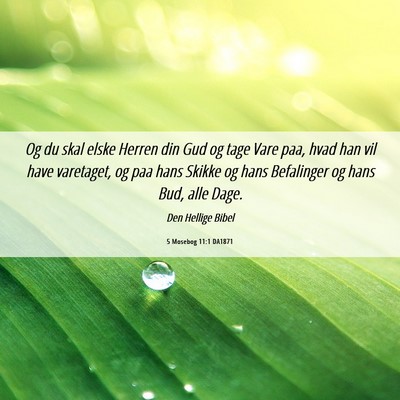 Picture 06 - 5 Mosebog 11:1 DA1871 - Og du skal elske Herren din Gud og tage Vare paa, - Bible Verse Picture