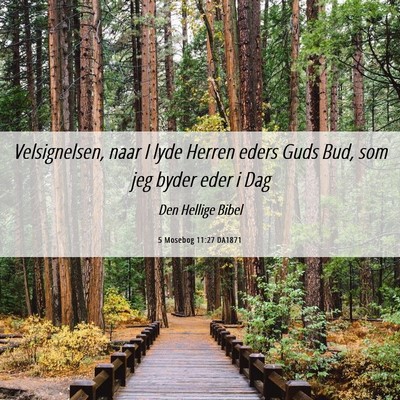 Picture 06 - 5 Mosebog 11:27 DA1871 - Velsignelsen, naar I lyde Herren eders Guds Bud, - Bible Verse Picture