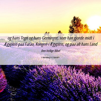 Picture 06 - 5 Mosebog 11:3 DA1871 - og hans Tegn og hans Gerninger, som han gjorde - Bible Verse Picture