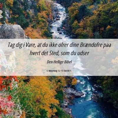 Picture 06 - 5 Mosebog 12:13 DA1871 - Tag dig i Vare, at du ikke ofrer dine Brændofre - Bible Verse Picture