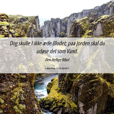Picture 06 - 5 Mosebog 12:16 DA1871 - Dog skulle I ikke æde Blodet; paa Jorden skal du - Bible Verse Picture