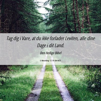 Picture 06 - 5 Mosebog 12:19 DA1871 - Tag dig i Vare, at du ikke forlader Leviten, alle - Bible Verse Picture