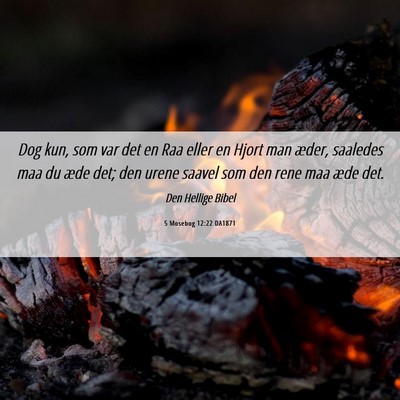 Picture 06 - 5 Mosebog 12:22 DA1871 - Dog kun, som var det en Raa eller en Hjort man - Bible Verse Picture