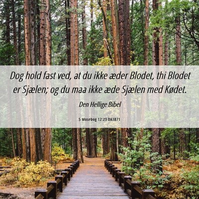 Picture 06 - 5 Mosebog 12:23 DA1871 - Dog hold fast ved, at du ikke æder Blodet, thi - Bible Verse Picture