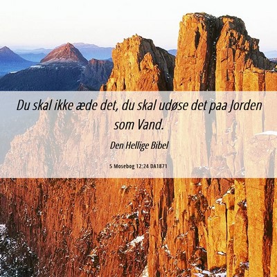 Picture 06 - 5 Mosebog 12:24 DA1871 - Du skal ikke æde det, du skal udøse det paa - Bible Verse Picture