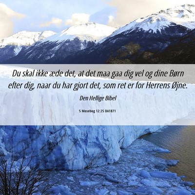 Picture 06 - 5 Mosebog 12:25 DA1871 - Du skal ikke æde det, at det maa gaa dig vel og - Bible Verse Picture