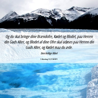 Picture 06 - 5 Mosebog 12:27 DA1871 - Og du skal bringe dine Brændofre, Kødet og - Bible Verse Picture