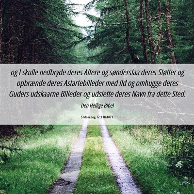 Picture 06 - 5 Mosebog 12:3 DA1871 - og I skulle nedbryde deres Altere og sønderslaa - Bible Verse Picture