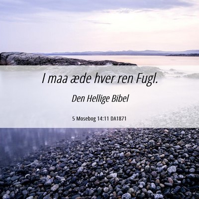 Picture 06 - 5 Mosebog 14:11 DA1871 - I maa æde hver ren - Bible Verse Picture