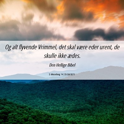 Picture 06 - 5 Mosebog 14:19 DA1871 - Og alt flyvende Vrimmel, det skal være eder - Bible Verse Picture