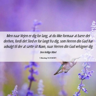 Picture 06 - 5 Mosebog 14:24 DA1871 - Men naar Vejen er dig for lang, at du ikke - Bible Verse Picture