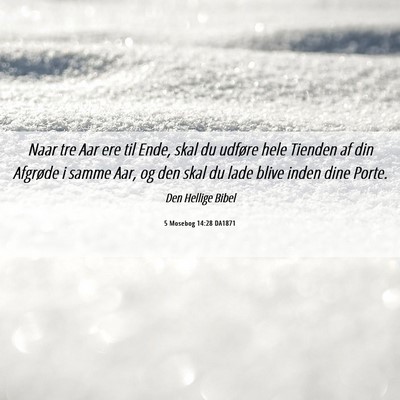Picture 06 - 5 Mosebog 14:28 DA1871 - Naar tre Aar ere til Ende, skal du udføre hele - Bible Verse Picture