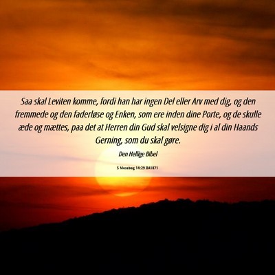 Picture 06 - 5 Mosebog 14:29 DA1871 - Saa skal Leviten komme, fordi han har ingen Del - Bible Verse Picture