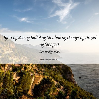 Picture 06 - 5 Mosebog 14:5 DA1871 - Hjort og Raa og Bøffel og Stenbuk og Daadyr og - Bible Verse Picture