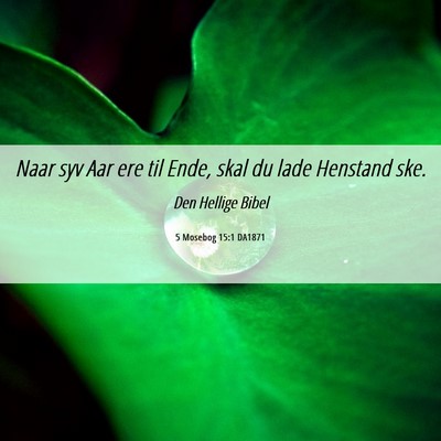 Picture 06 - 5 Mosebog 15:1 DA1871 - Naar syv Aar ere til Ende, skal du lade Henstand - Bible Verse Picture