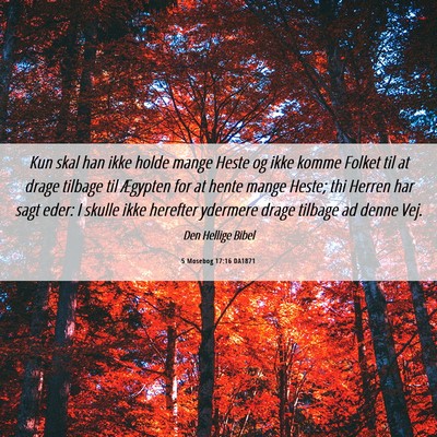 Picture 06 - 5 Mosebog 17:16 DA1871 - Kun skal han ikke holde mange Heste og ikke komme - Bible Verse Picture