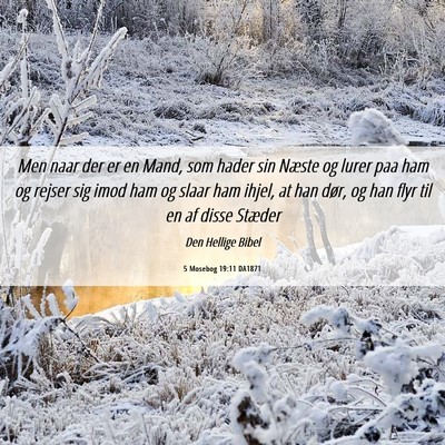 Picture 06 - 5 Mosebog 19:11 DA1871 - Men naar der er en Mand, som hader sin Næste og - Bible Verse Picture
