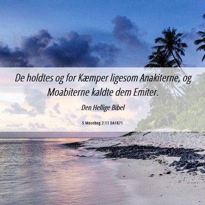 Picture 06 - 5 Mosebog 2:11 DA1871 - De holdtes og for Kæmper ligesom Anakiterne, og - Bible Verse Picture