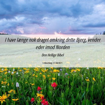 Picture 06 - 5 Mosebog 2:3 DA1871 - I have længe nok draget omkring dette Bjerg, - Bible Verse Picture