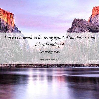Picture 06 - 5 Mosebog 2:35 DA1871 - kun Fæet røvede vi for os og Byttet af - Bible Verse Picture