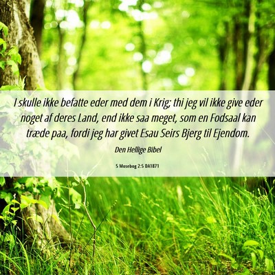 Picture 06 - 5 Mosebog 2:5 DA1871 - I skulle ikke befatte eder med dem i Krig; thi - Bible Verse Picture