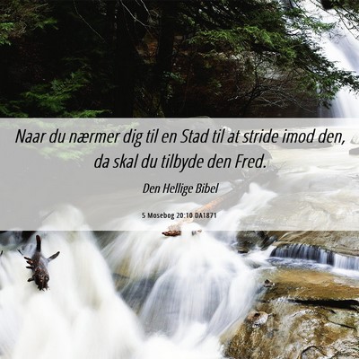 Picture 06 - 5 Mosebog 20:10 DA1871 - Naar du nærmer dig til en Stad til at stride - Bible Verse Picture