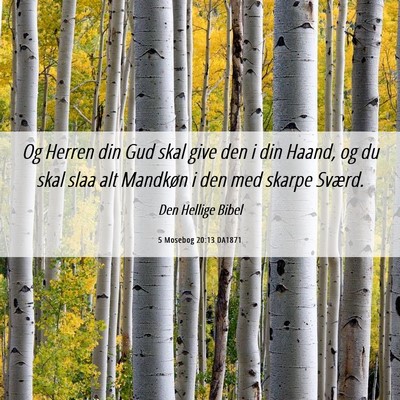 Picture 06 - 5 Mosebog 20:13 DA1871 - Og Herren din Gud skal give den i din Haand, og - Bible Verse Picture