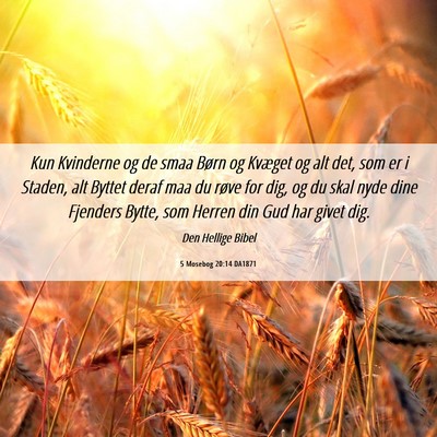 Picture 06 - 5 Mosebog 20:14 DA1871 - Kun Kvinderne og de smaa Børn og Kvæget og alt - Bible Verse Picture