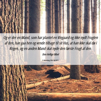 Picture 06 - 5 Mosebog 20:6 DA1871 - Og er der en Mand, som har plantet en Vingaard og - Bible Verse Picture