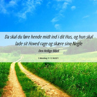 Picture 06 - 5 Mosebog 21:12 DA1871 - Da skal du føre hende midt ind i dit Hus, og hun - Bible Verse Picture