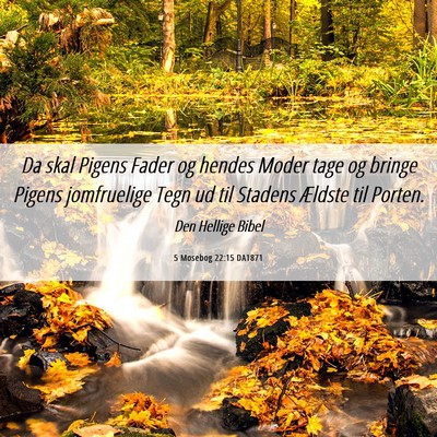 Picture 06 - 5 Mosebog 22:15 DA1871 - Da skal Pigens Fader og hendes Moder tage og - Bible Verse Picture