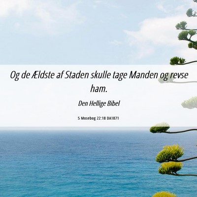 Picture 06 - 5 Mosebog 22:18 DA1871 - Og de Ældste af Staden skulle tage Manden og - Bible Verse Picture