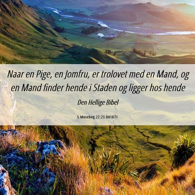 Picture 06 - 5 Mosebog 22:23 DA1871 - Naar en Pige, en Jomfru, er trolovet med en Mand, - Bible Verse Picture