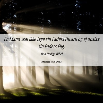 Picture 06 - 5 Mosebog 22:30 DA1871 - En Mand skal ikke tage sin Faders Hustru og ej - Bible Verse Picture