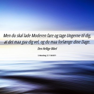 Picture 06 - 5 Mosebog 22:7 DA1871 - Men du skal lade Moderen fare og tage Ungerne til - Bible Verse Picture