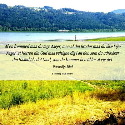 Picture 06 - 5 Mosebog 23:20 DA1871 - Af en fremmed maa du tage Aager, men af din - Bible Verse Picture