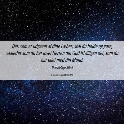 Picture 06 - 5 Mosebog 23:23 DA1871 - Det, som er udgaaet af dine Læber, skal du holde - Bible Verse Picture