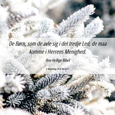 Picture 06 - 5 Mosebog 23:8 DA1871 - De Børn, som de avle sig i det tredje Led, de - Bible Verse Picture