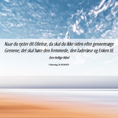 Picture 06 - 5 Mosebog 24:20 DA1871 - Naar du ryster dit Olietræ, da skal du ikke - Bible Verse Picture