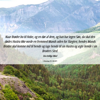 Picture 06 - 5 Mosebog 25:5 DA1871 - Naar Brødre bo til Hobe, og en dør af dem, og - Bible Verse Picture