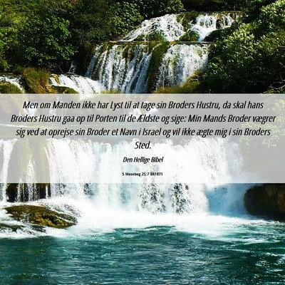 Picture 06 - 5 Mosebog 25:7 DA1871 - Men om Manden ikke har Lyst til at tage sin - Bible Verse Picture