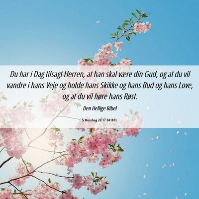Picture 06 - 5 Mosebog 26:17 DA1871 - Du har i Dag tilsagt Herren, at han skal være - Bible Verse Picture