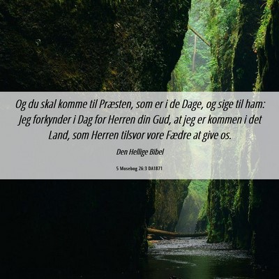 Picture 06 - 5 Mosebog 26:3 DA1871 - Og du skal komme til Præsten, som er i de Dage, - Bible Verse Picture