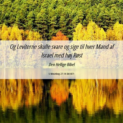 Picture 06 - 5 Mosebog 27:14 DA1871 - Og Leviterne skulle svare og sige til hver Mand - Bible Verse Picture