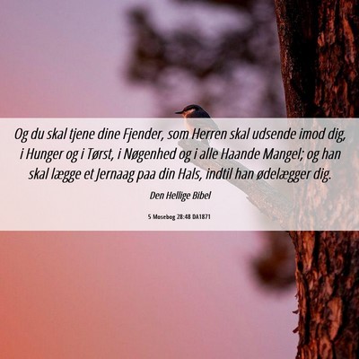 Picture 06 - 5 Mosebog 28:48 DA1871 - Og du skal tjene dine Fjender, som Herren skal - Bible Verse Picture