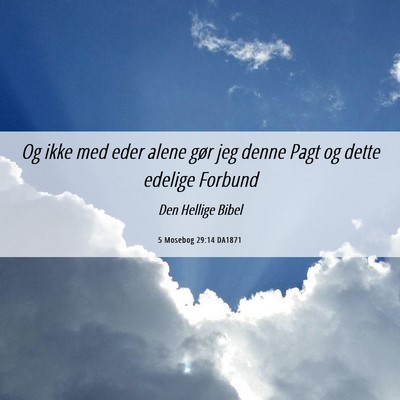 Picture 06 - 5 Mosebog 29:14 DA1871 - Og ikke med eder alene gør jeg denne Pagt og - Bible Verse Picture
