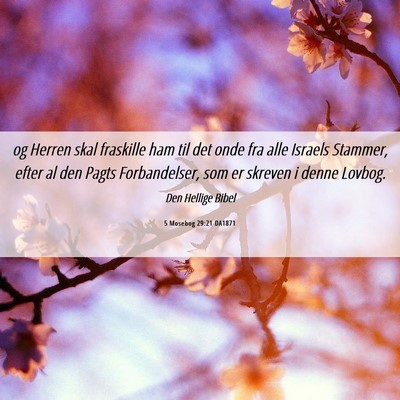 Picture 06 - 5 Mosebog 29:21 DA1871 - og Herren skal fraskille ham til det onde fra - Bible Verse Picture