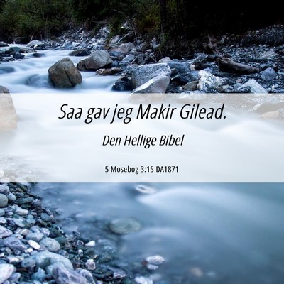 Picture 06 - 5 Mosebog 3:15 DA1871 - Saa gav jeg Makir - Bible Verse Picture