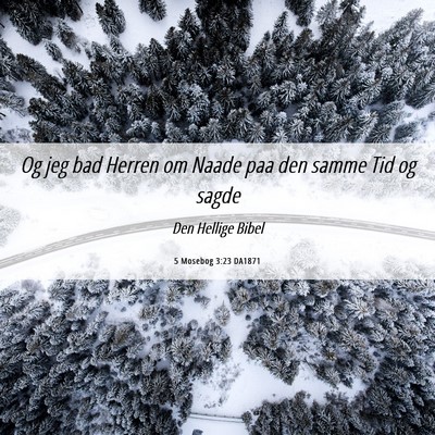 Picture 06 - 5 Mosebog 3:23 DA1871 - Og jeg bad Herren om Naade paa den samme Tid og - Bible Verse Picture