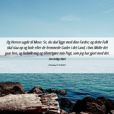 Picture 06 - 5 Mosebog 31:16 DA1871 - Og Herren sagde til Mose: Se, du skal ligge med - Bible Verse Picture